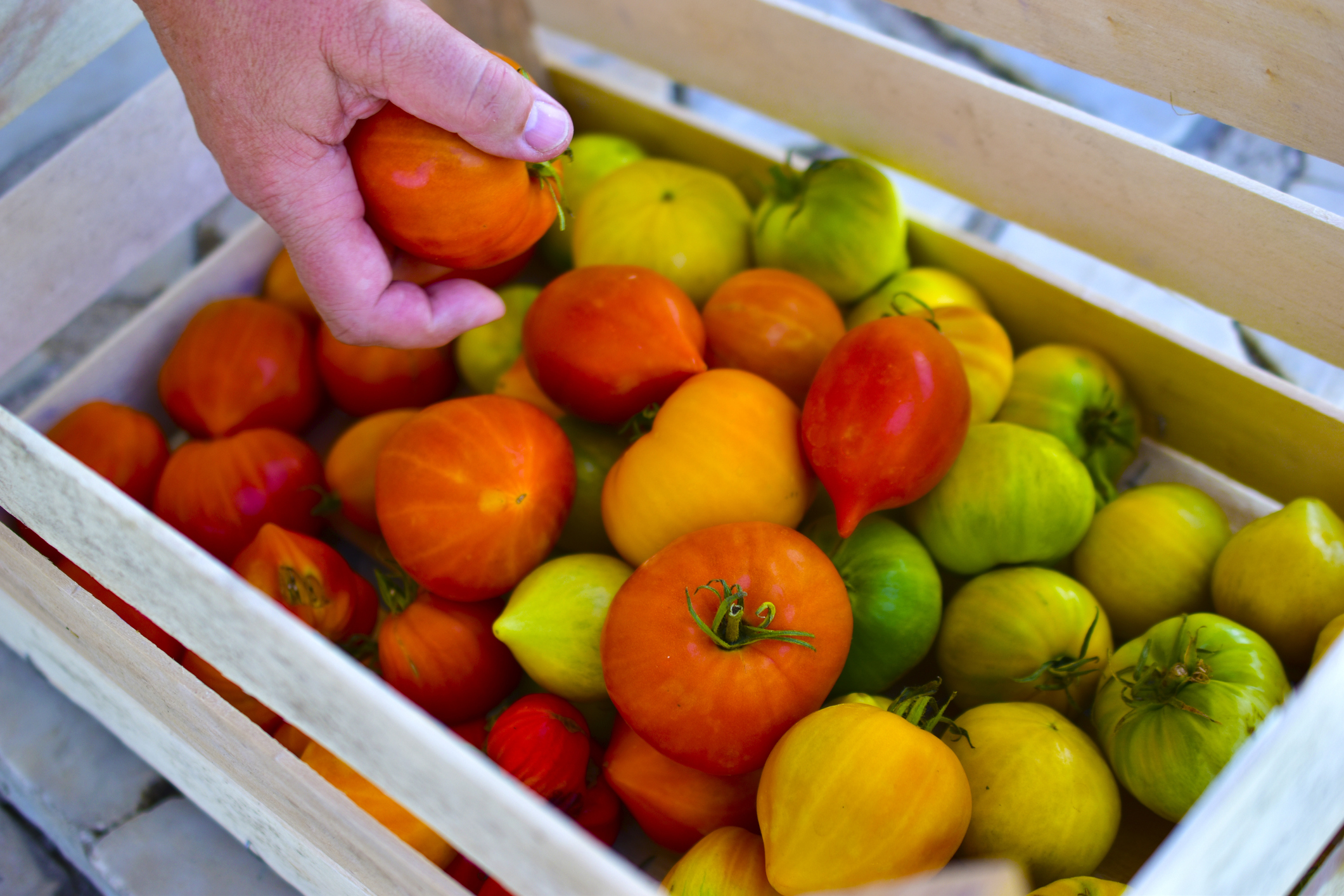 Yellow red and green tomatoes in a wooden box